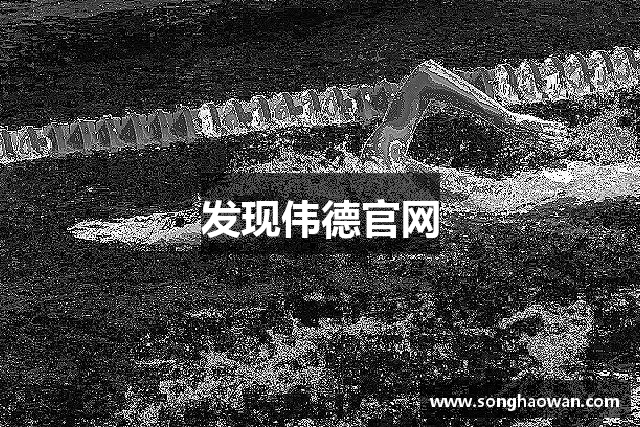 发现伟德官网